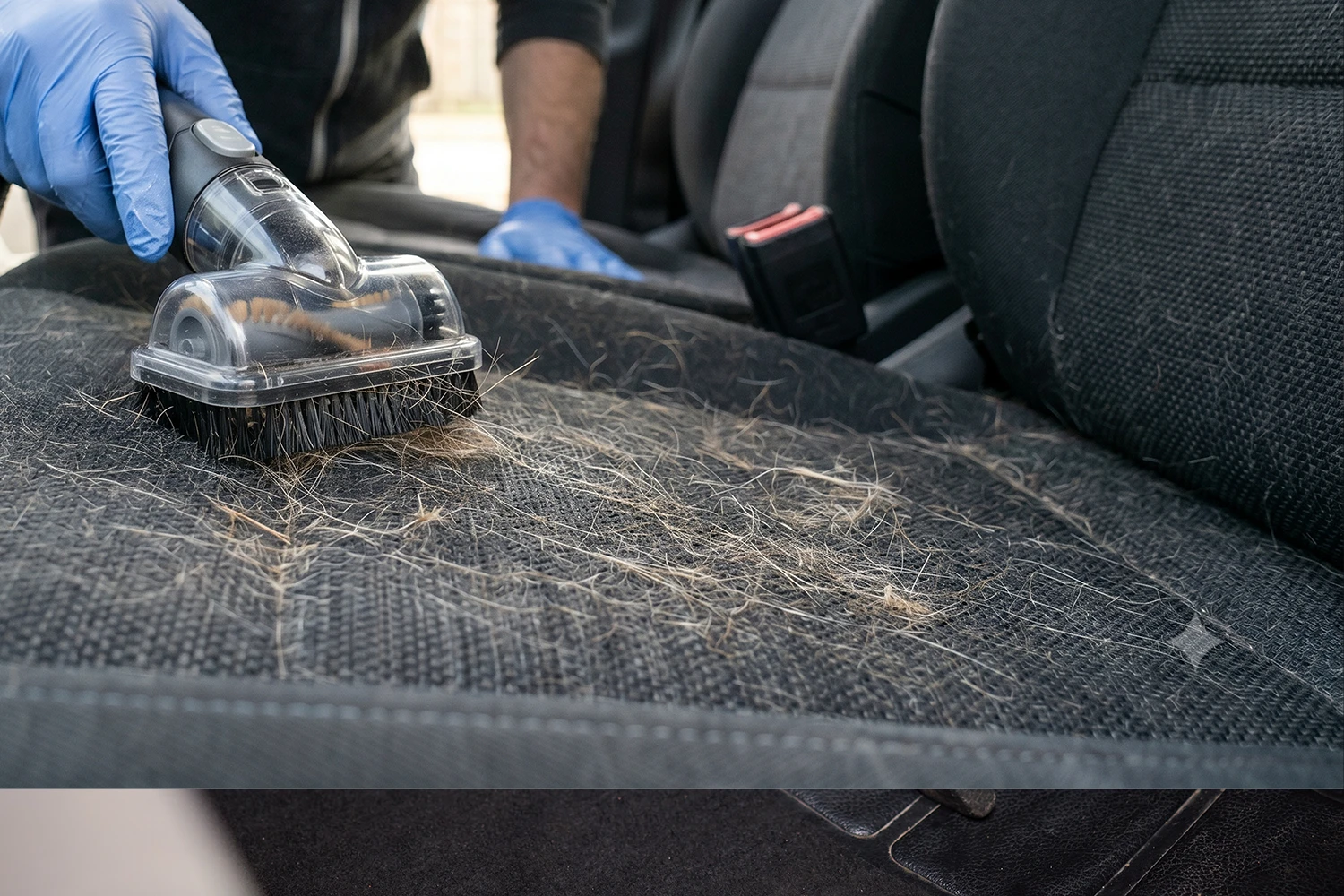 Tierhaare entfernen: Spezialbürste löst Hundehaare aus dem Autositz
